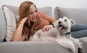 pets capa