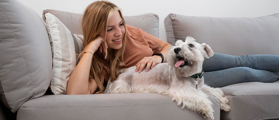 DICAS PARA TER PETS EM CASA