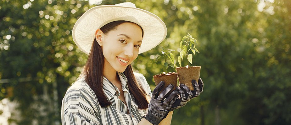APROVEITE A PRIMAVERA PARA RENOVAR AS FERRAMENTAS DE MANUTENÇÃO